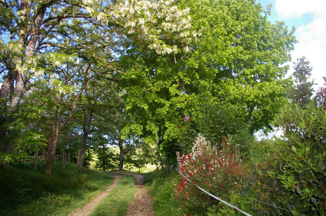 Gite L'Appel De La Foret Betplan Exterior photo